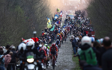 Tegoroczny wyścig Paryż–Roubaix. Kolarze na jednym z najsławniejszych odcinków kostki brukowej w las
