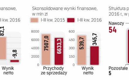 Nawozy zapewniają Grupie Azoty ponad połowę przychodów ze sprzedaży