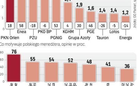 Polskich menedżerów motywują głównie pieniądze