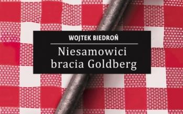Wojtek Biedroń, "Niesamowici bracia Goldberg", WAB, Warszawa 2015