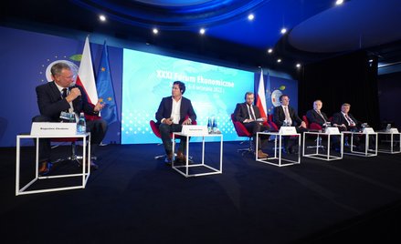 Participants of the plenary session discussed the actions needed to prevent the effects of the energ