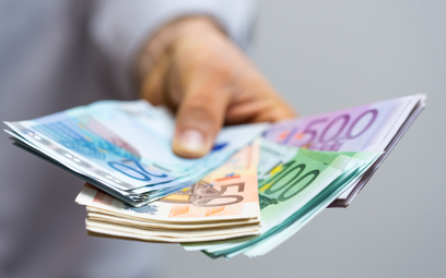 Sondaż: Czy Polska powinna wkrótce znaleźć się w strefie euro