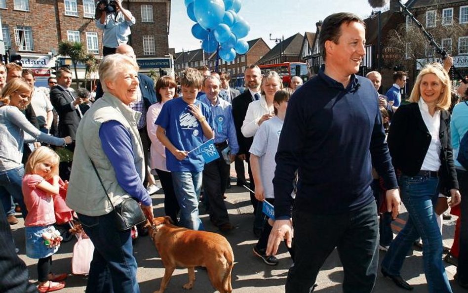 David Cameron apelował o wykorzystanie energii lokalnych społeczności podczas kampanii wyborczej. Na