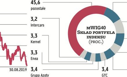 Największy udział w mWIG40 ma ING Bank Śląski. Stanowi ponad 10 proc. portfela indeksu. Za nim, z po