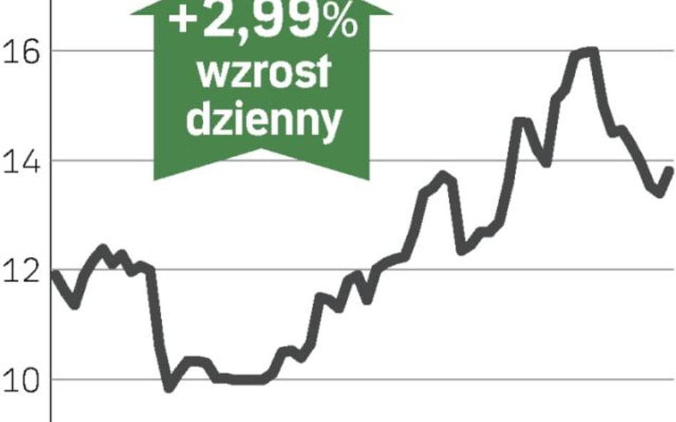 Goldman Sachs pomógł notowaniom