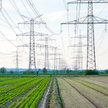 Sieci, czyli wąskie gardło transformacji energetycznej