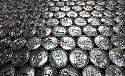 Energiczny wzrost energetyków