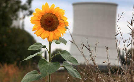 PGE szuka doradców do budowy atomu