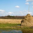 Firmy masowo inwestują w zieloną energię