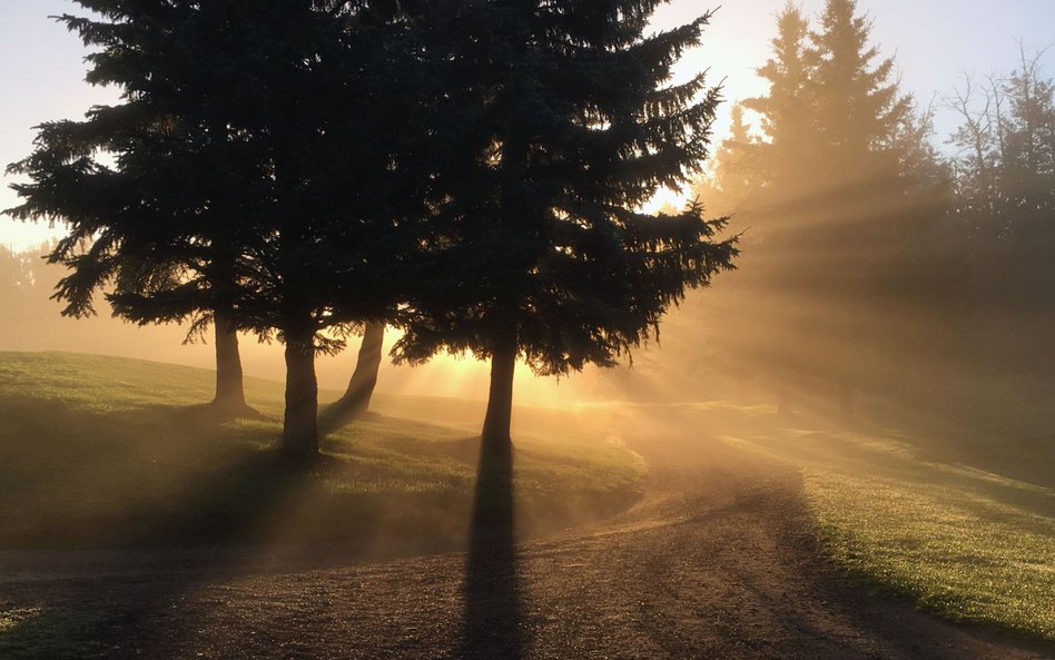 Pytania o Kościół Naturalny