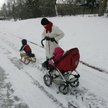 Rada nie upoważni kierownika do wydawania decyzji