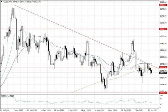 Notowania złota – dane dzienne