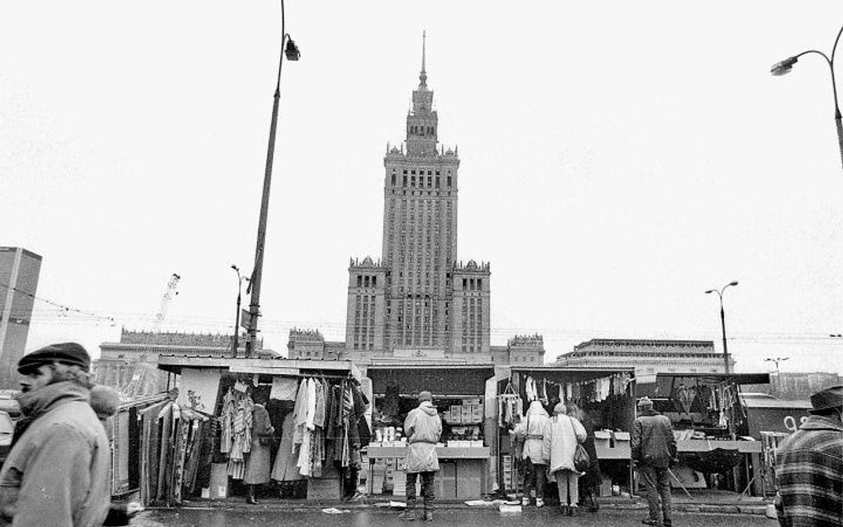 Pożytki z osiodłania krowy