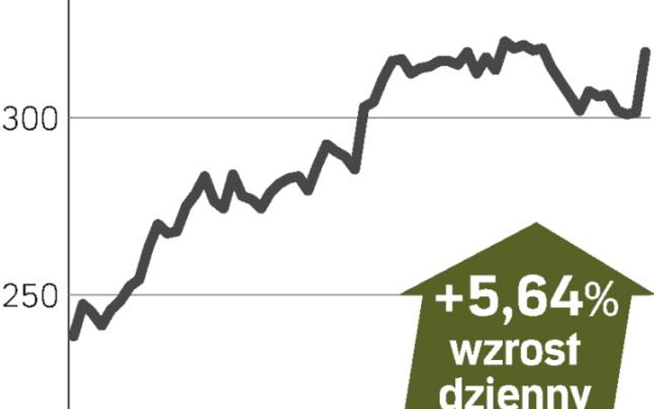 Popyt na poduszki i pasy