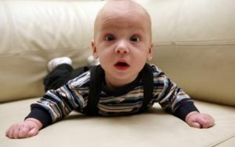 Ośrodek zbierze dane do adopcji