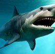 Supernowa, która zabiła wielkie zwierzęta w oceanach