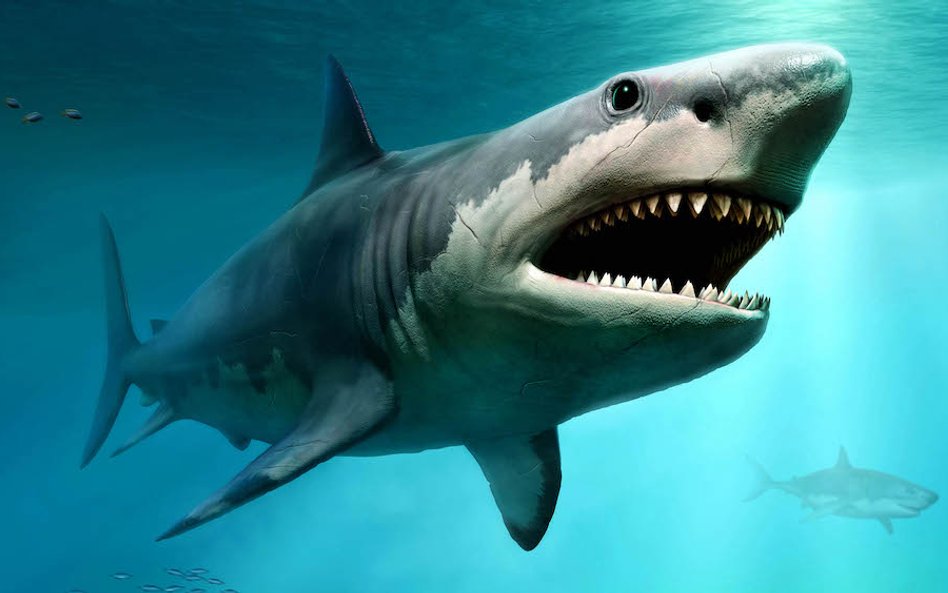 Supernowa, która zabiła wielkie zwierzęta w oceanach