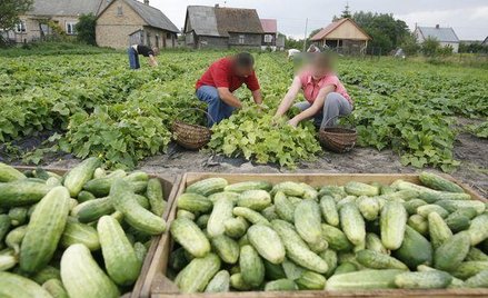 Rolnicy powinni bronić swoich racji przed sądami