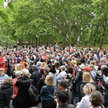 Instynkt stadny kontra lockdown
