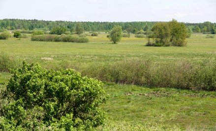 Prawo zabudowy to szansa dla inwestorów