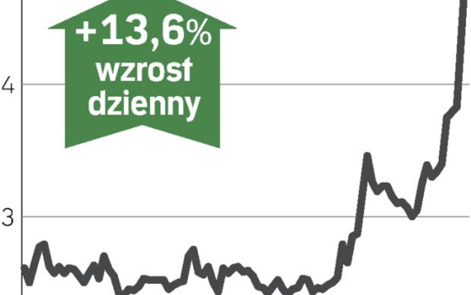 Rozwiązanie rezerw podbiło zysk