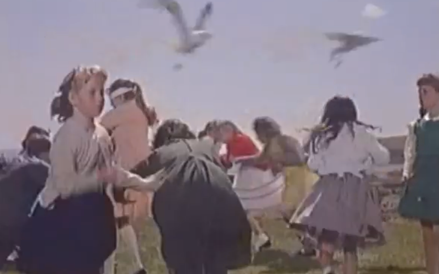 Kadr z filmu "Ptaki"