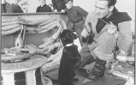 Harwich 1946. Mat Jan Mielcarzewicz z okrętową maskotką psem Ciapkiem na pokładzie ORP Krakowiak