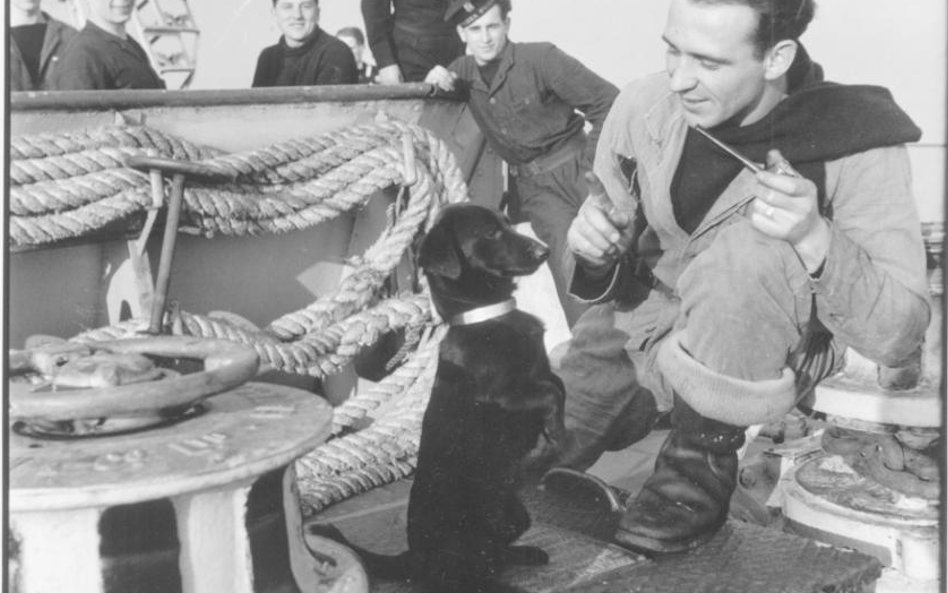 Harwich 1946. Mat Jan Mielcarzewicz z okrętową maskotką psem Ciapkiem na pokładzie ORP Krakowiak