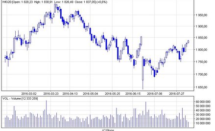 Nowe rekordy "misiów"