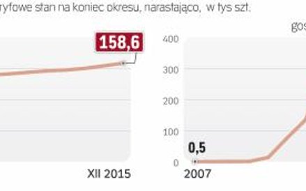 Dynamika zmian sprzedawcy energii osłabła wobec rekordowego 2014 r. Niechęć widać zwłaszcza w grupie