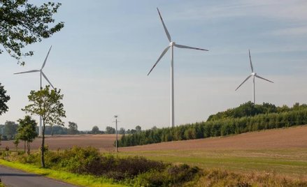 Neutralność klimatyczna będzie kosztować Eneę blisko 70 mld zł