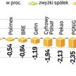 Czy politycy załugują na 5 tygodni wakacji