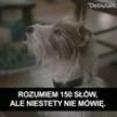 Debiutanci - Pro i Kontra