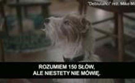 Debiutanci - Pro i Kontra