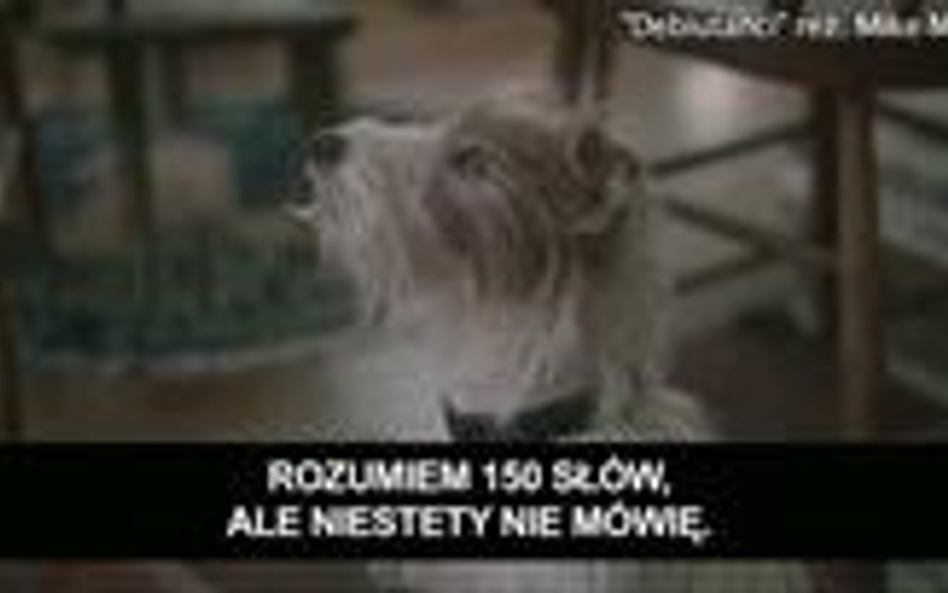 Debiutanci - Pro i Kontra