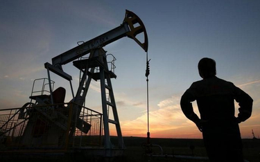 Republika Islamska osiągnęła poziom wydobycia ropy sprzed sankcji i jest gotowa przyłączyć się do ko