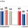 Stawki się ustabilizowały