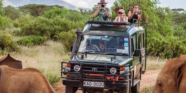 Most expensive trips of 2026: safari, polar expeditions and exotic islands