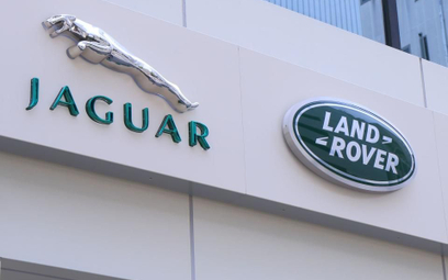 Jaguar na zakupach