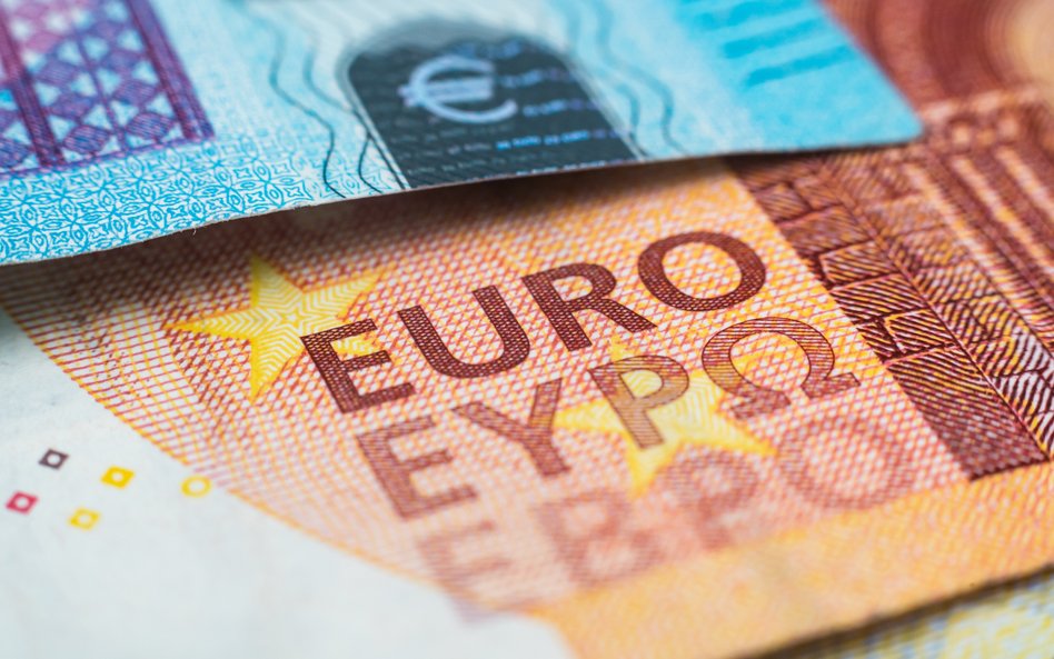 Trwa dywersyfikacja portfela banków strefy euro