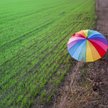 Gmina Zakrzówek pozywa Barta Staszewskiego za "strefę wolną od LGBT"