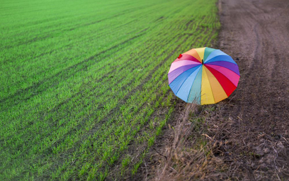Sąd w Gliwicach: strefa wolna od LGBT, czyli od czego? - jest uzasadnienie do wyroku ws. uchwały rady Istebnej