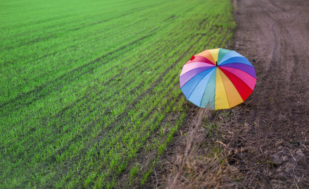 Gmina Zakrzówek pozywa Barta Staszewskiego za "strefę wolną od LGBT"
