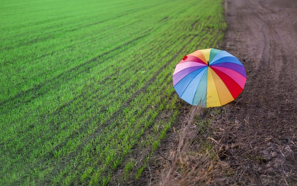 Gmina Zakrzówek pozywa Barta Staszewskiego za "strefę wolną od LGBT"