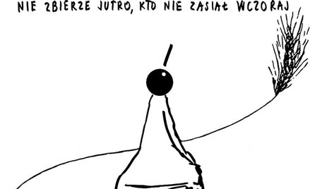 Rysuje Janusz Kapusta