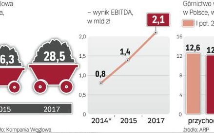 Biznesplan kompanii zakłada, że spółka odzyska pełną rentowność w 2017 r.