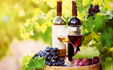 Na handel winem z własnej winnicy potrzebne zezwolenie
