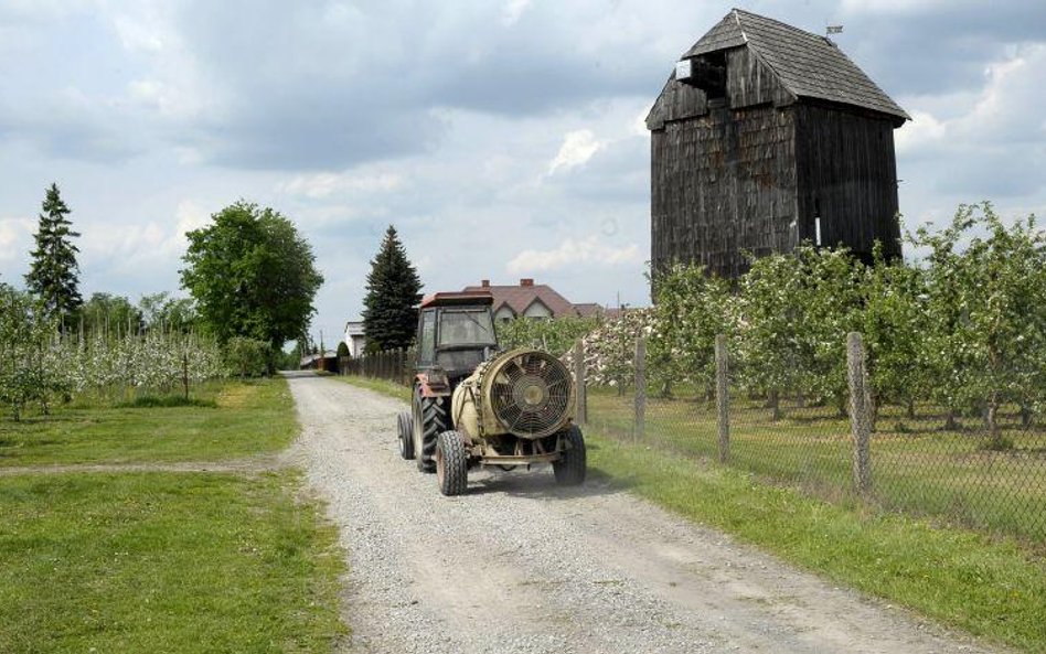 Młyny wietrzne