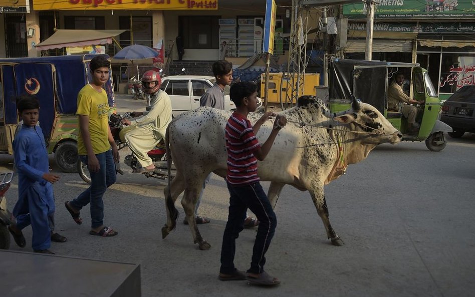 Pakistan: Spada liczba zakażeń. Powodem mniej testów?