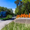 Autobus sezonowej linii 666 łączy Kraków i Warszawę z Półwyspem Helskim